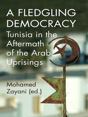 cover image of A Fledgling Democracy